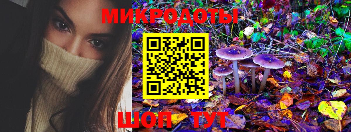 Псилоцибиновые грибы Cubensis  Вход с VPN  Россошь 